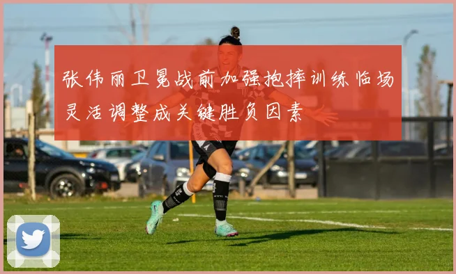 张伟丽卫冕战前加强抱摔训练临场灵活调整成关键胜负因素